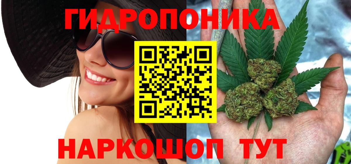Марихуана Bruce Banner  Марихуана THC 21%  Канабис семена  Вход с VPN  Нижневартовск  Конопля тримм 